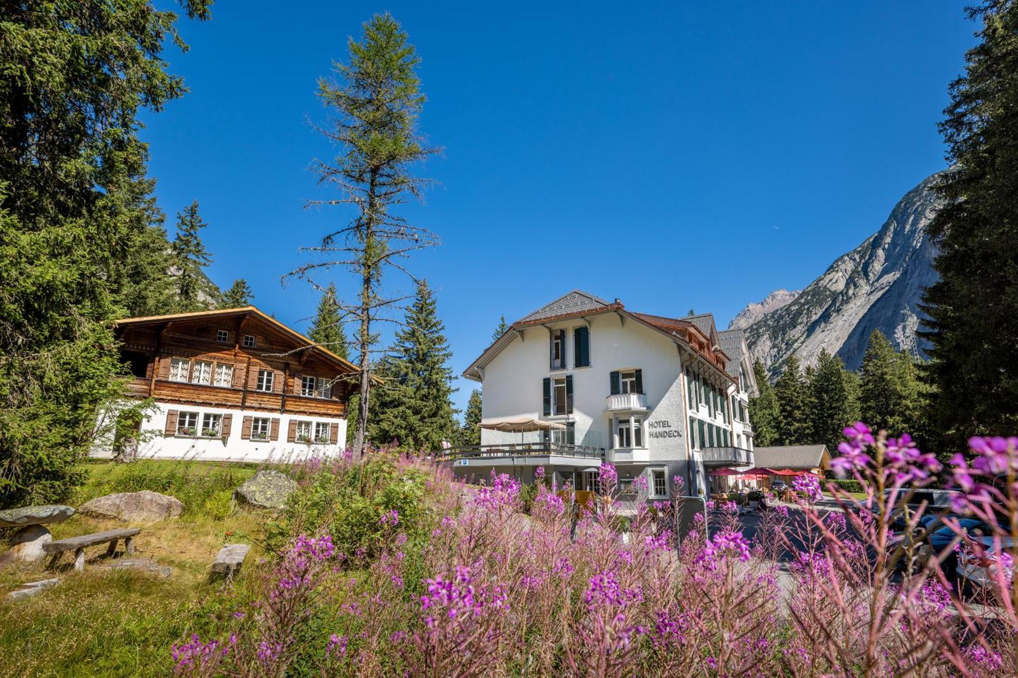 Hotel Und Naturresort Handeck Guttannen Экстерьер фото